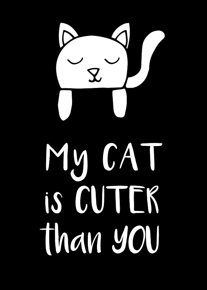 My Cat Is Cuter 13