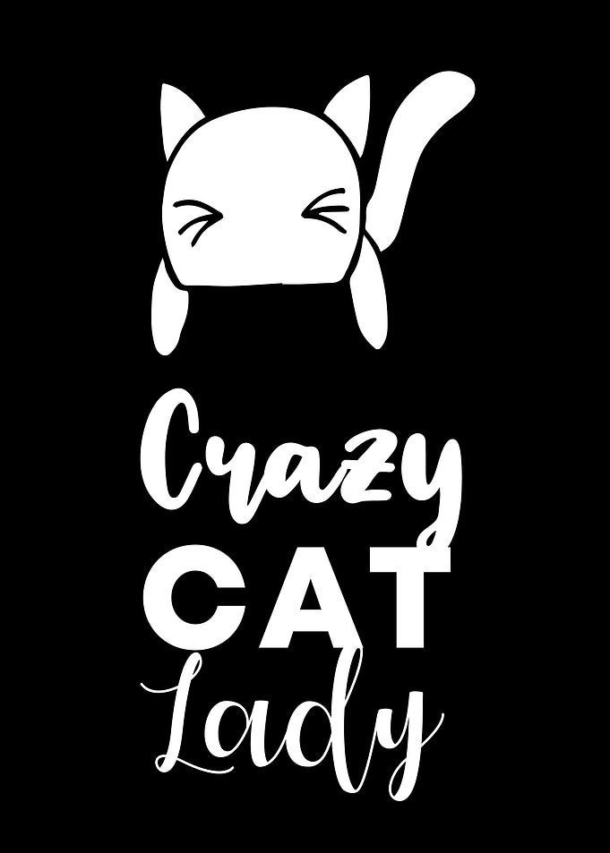 Crazy Cat Lady 8