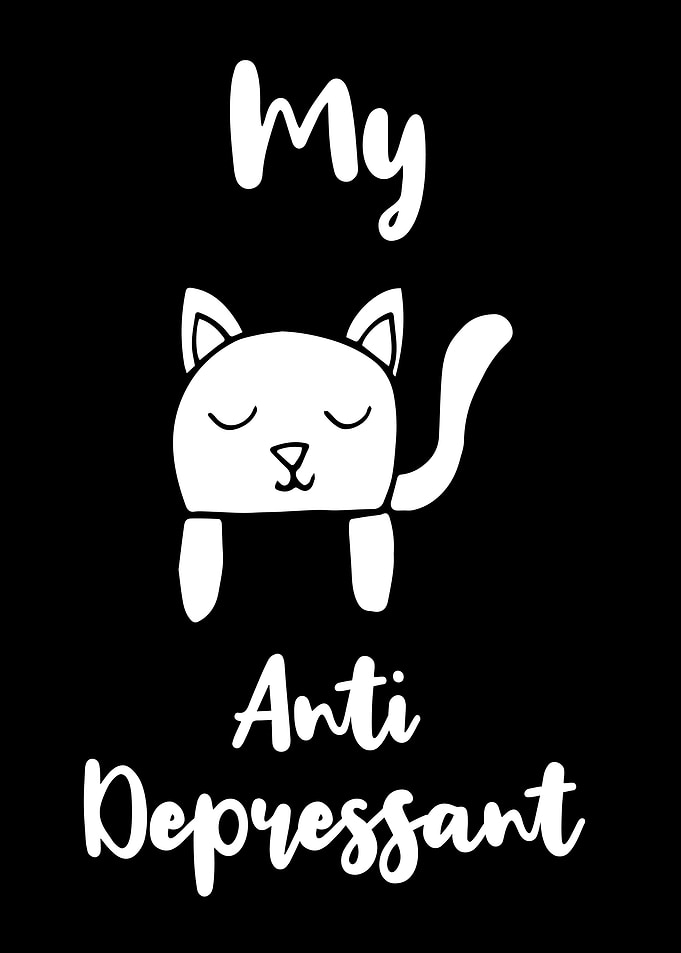 Cat Anti Depressant 5