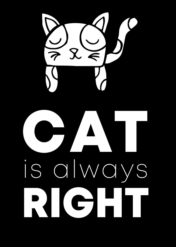 Cat Always Right 14