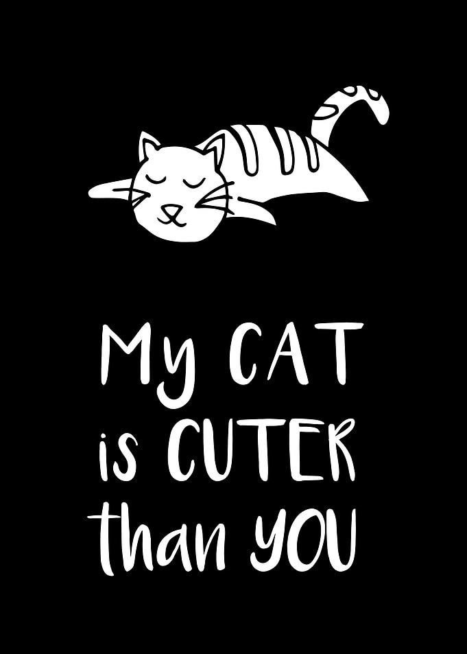 My Cat Is Cuter 2