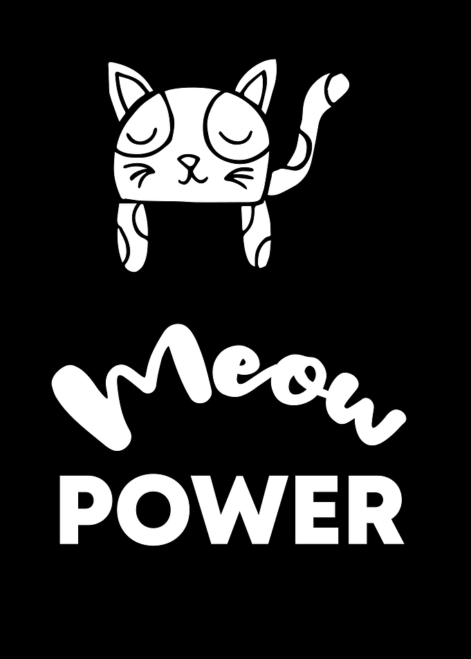 Cat Meow Power 13