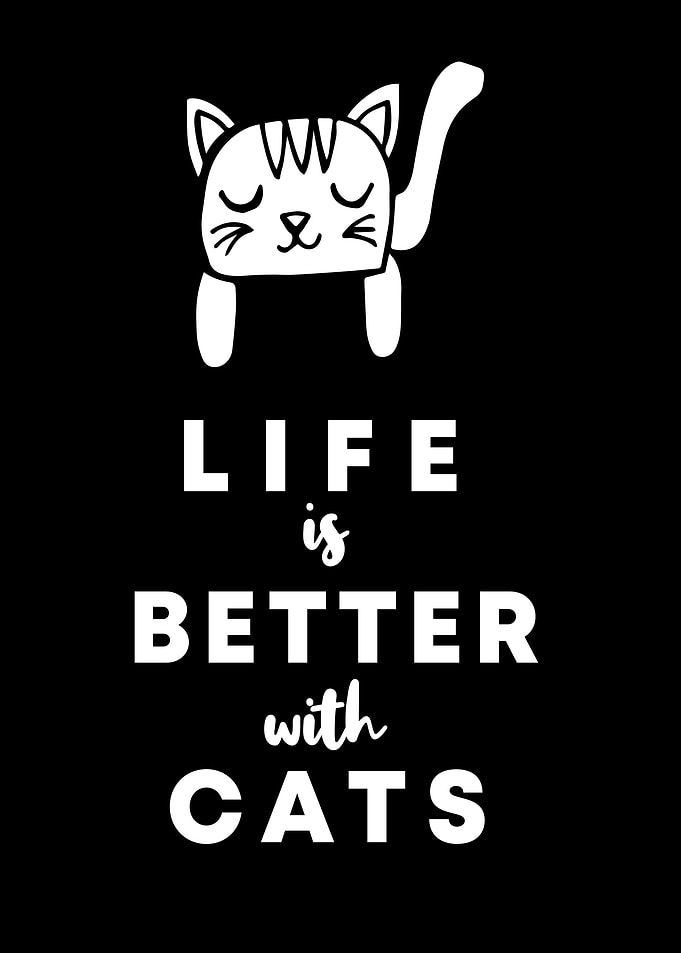 Cats Life Is Better 4