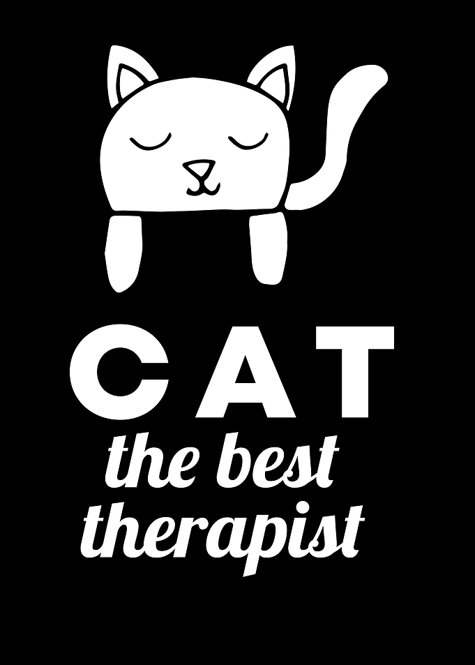 Cat Best Therapist 11