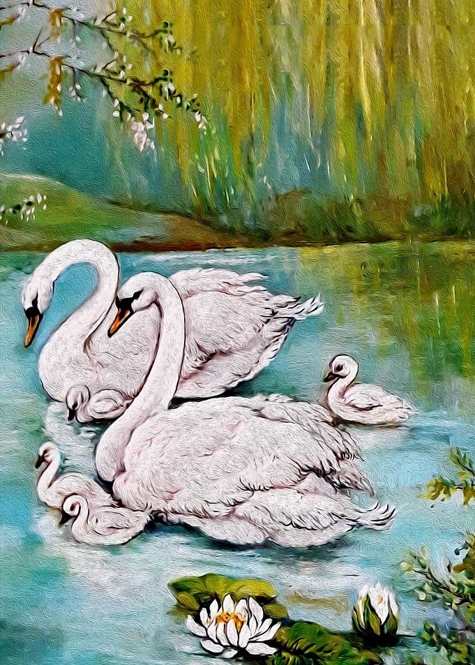 Swan lake