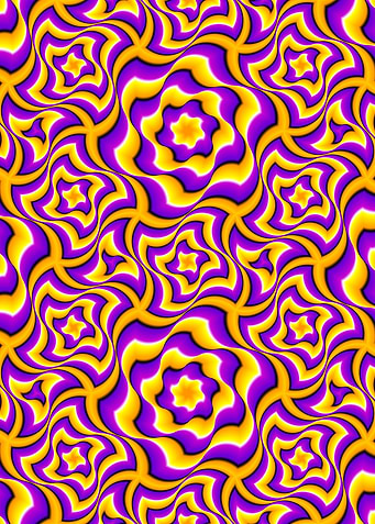 Yellow and purple flowers