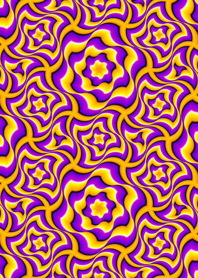 Yellow and purple flowers