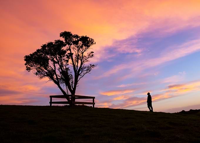 Lone man and tree