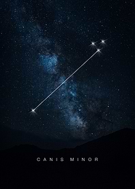 Canis Minor