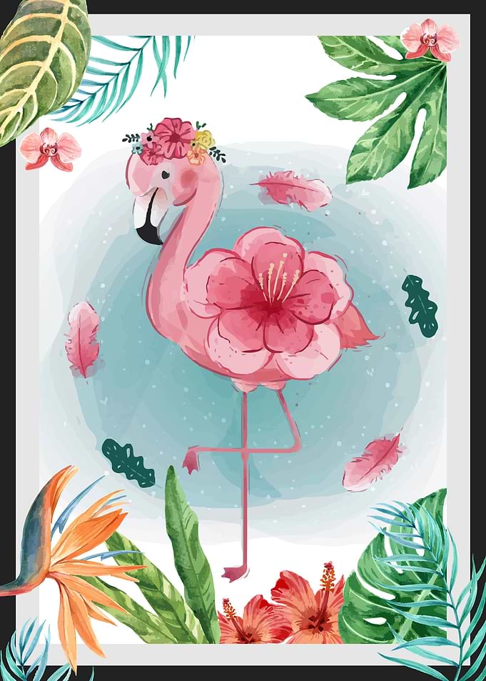 flamingo