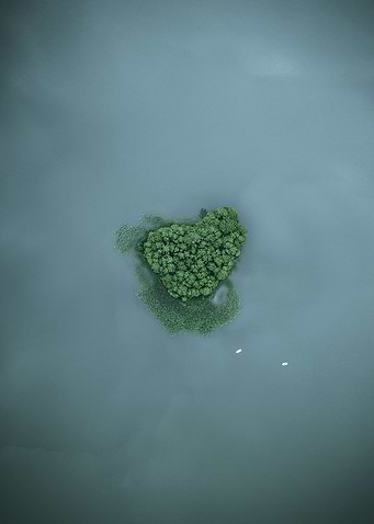 The island