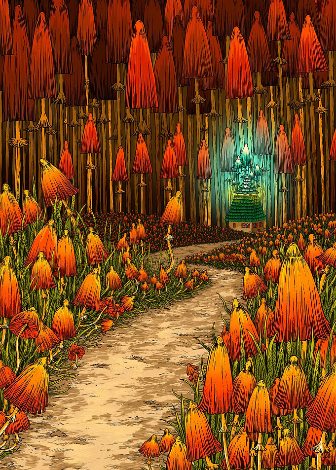 Magic Mushrooms