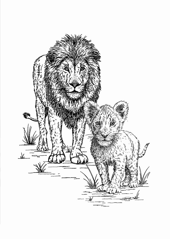 Lion