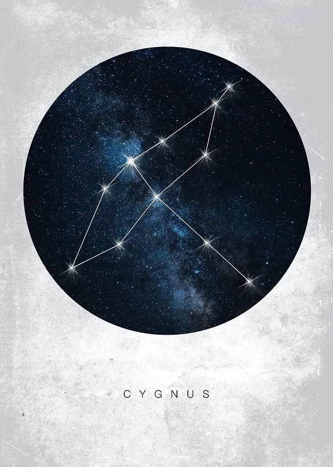 Cygnus