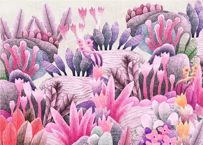 Colorful Garden