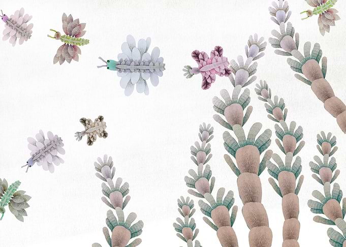 Butterflys garden