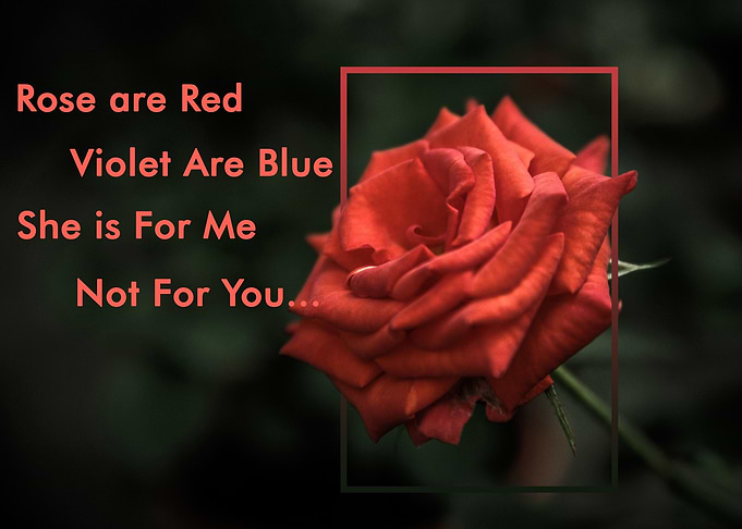 Another Rose