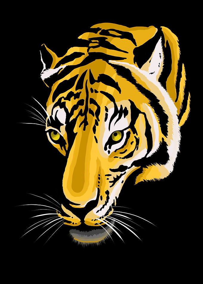 tigre