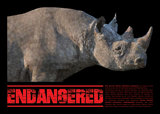 Black Rhino