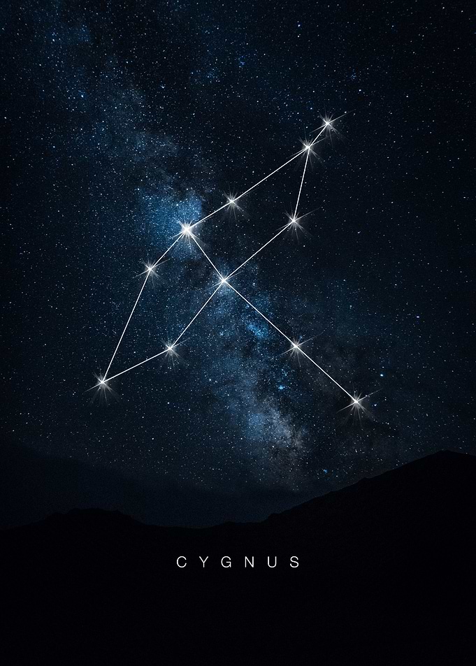Cygnus