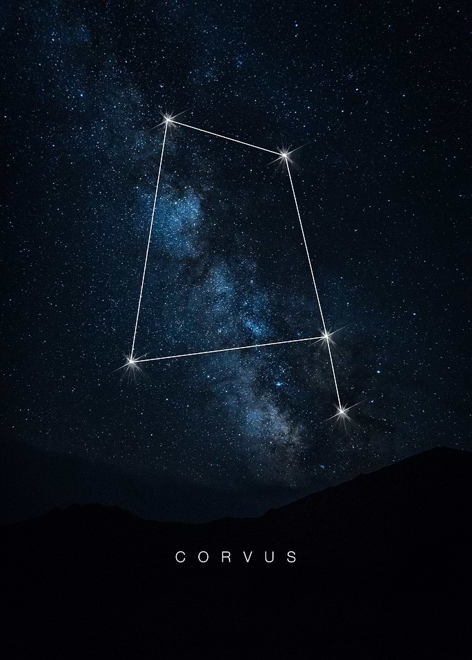 Corvus