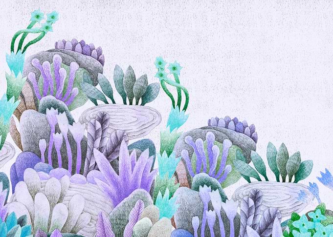 Colorful Garden