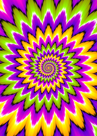 Colorful flower blossom