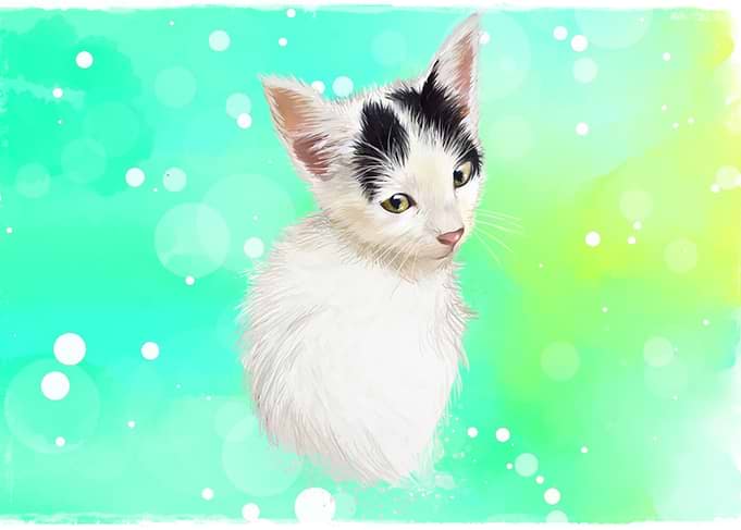 Rem the Cat