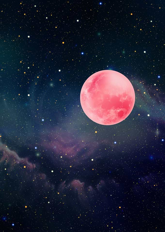 Pink Moon