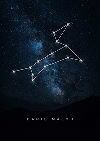Canis Major