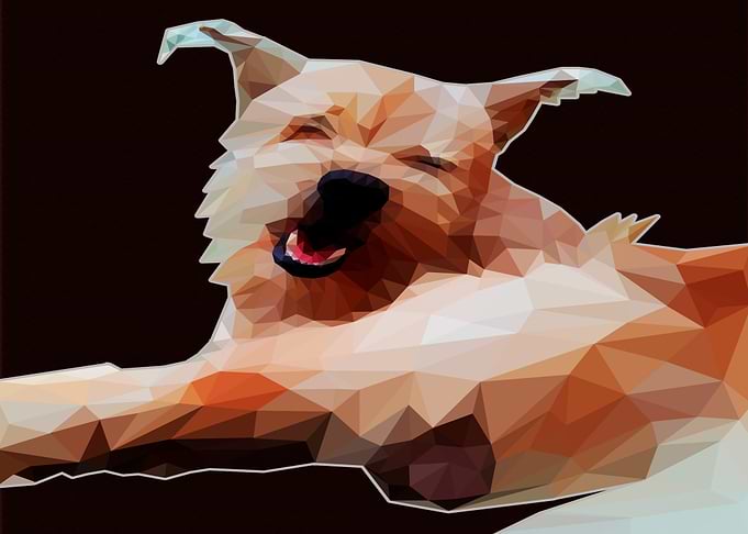 pinoy terrier