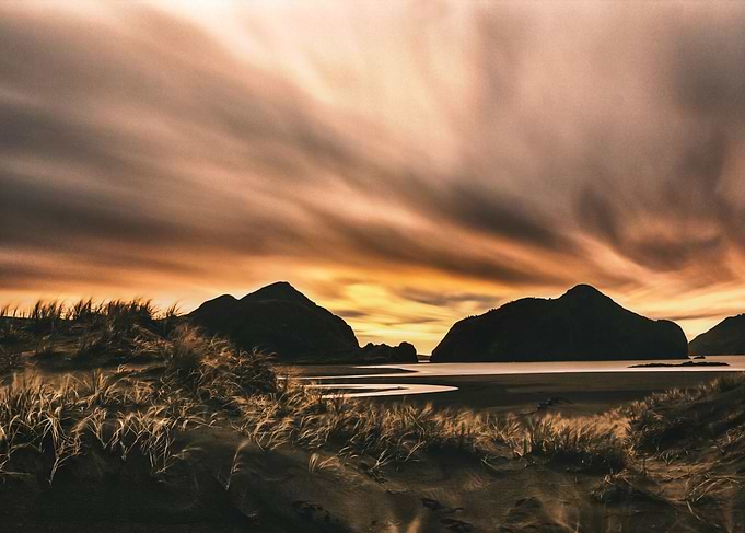 Bethells Beach landscape