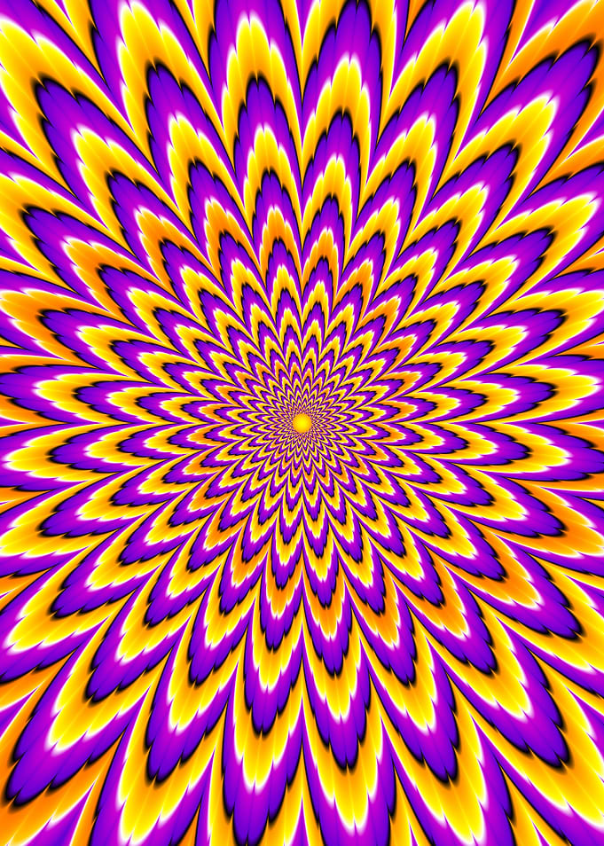 Yellow and purple flower