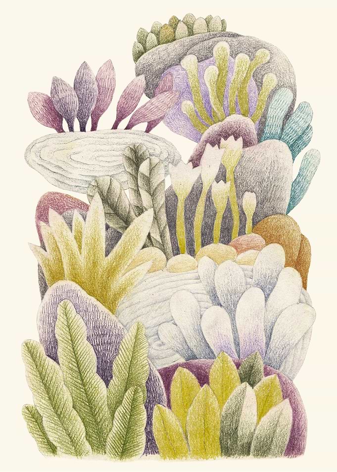 Colorful garden
