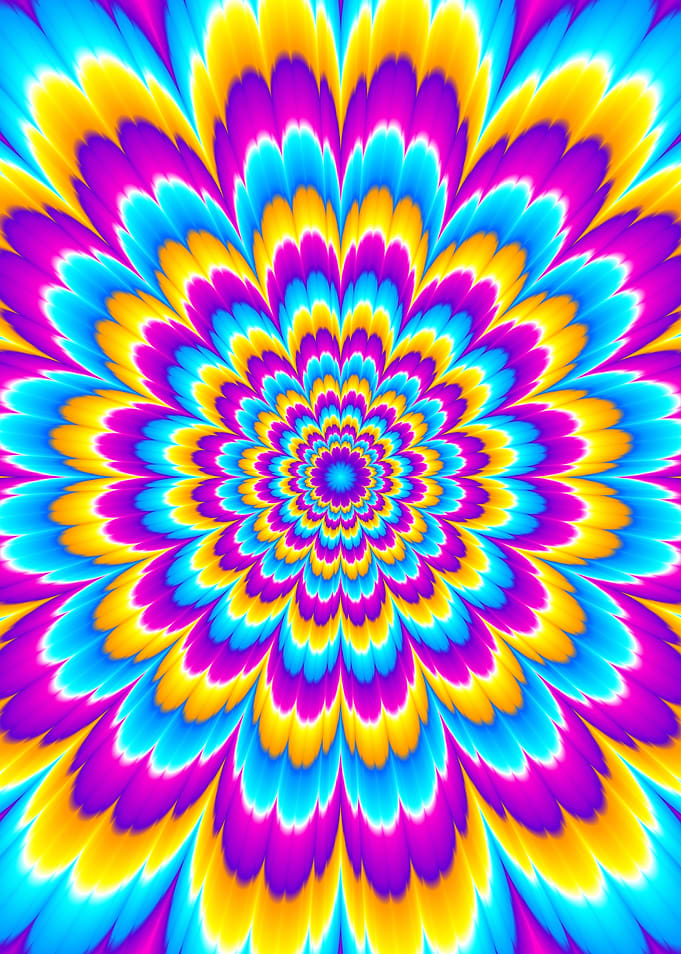Colorful flower blossom