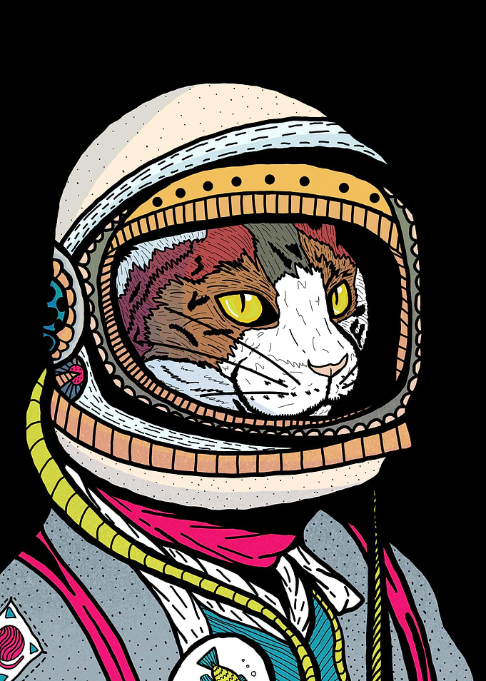 The adventurer