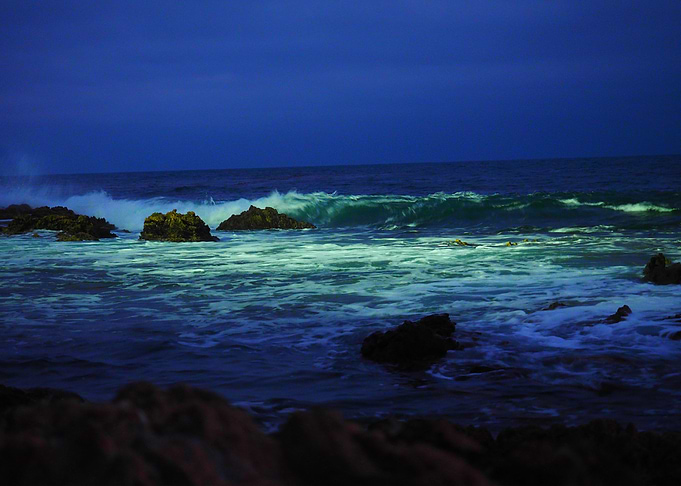 Spotlight on the water