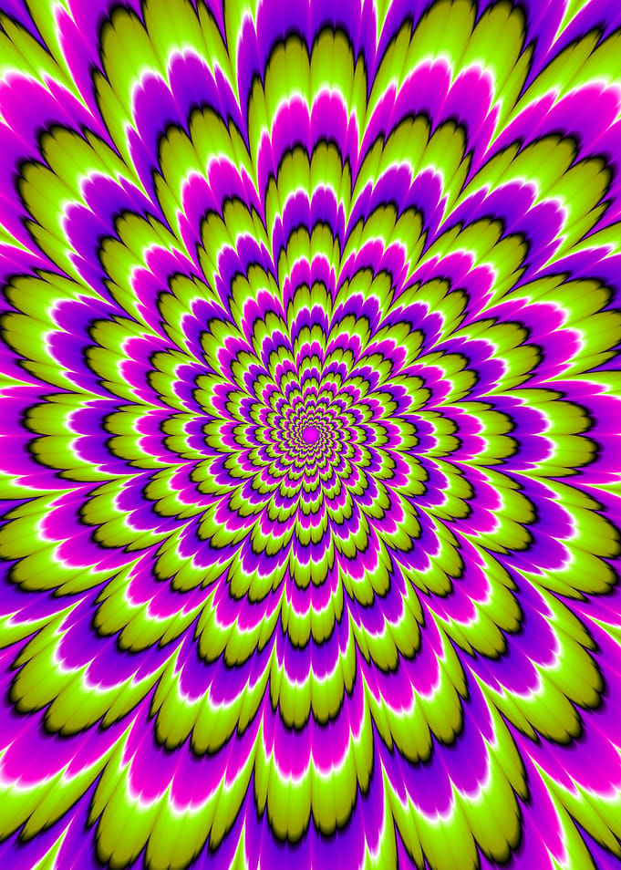 Green and purple flower