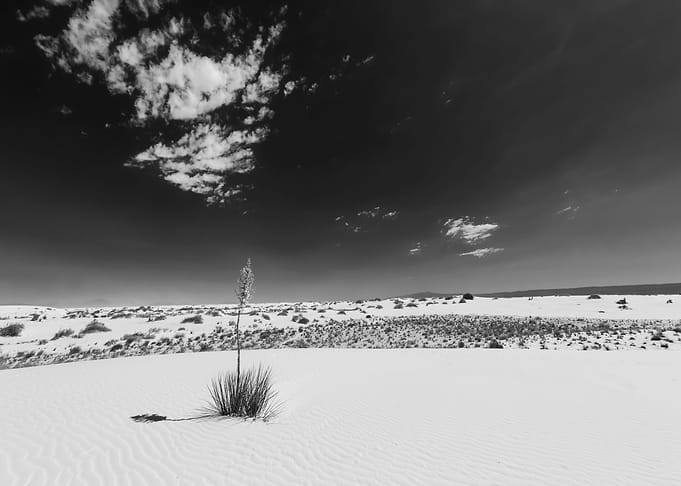 White Sands