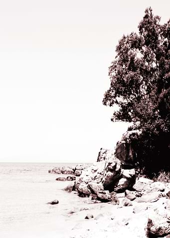 Beachdays monochrome Rock