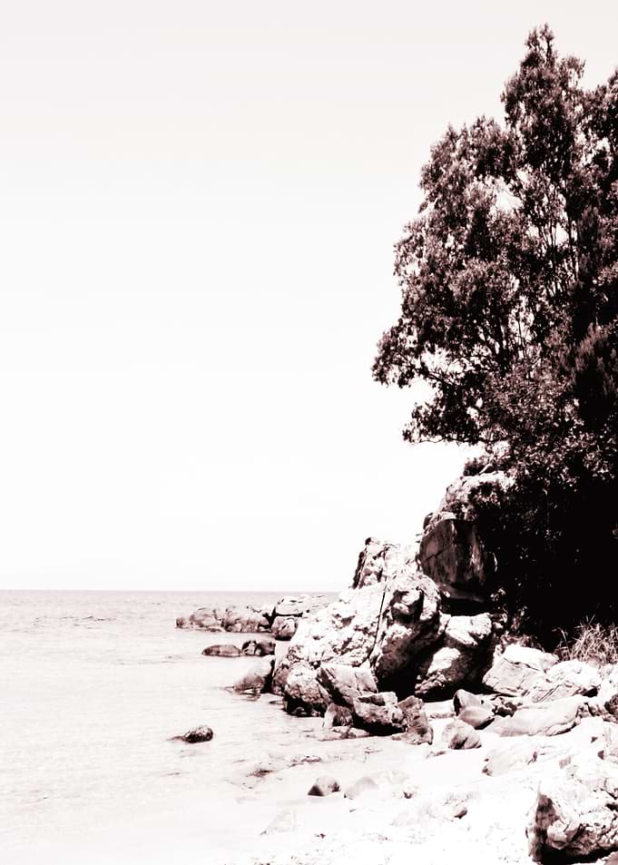 Beachdays monochrome Rock