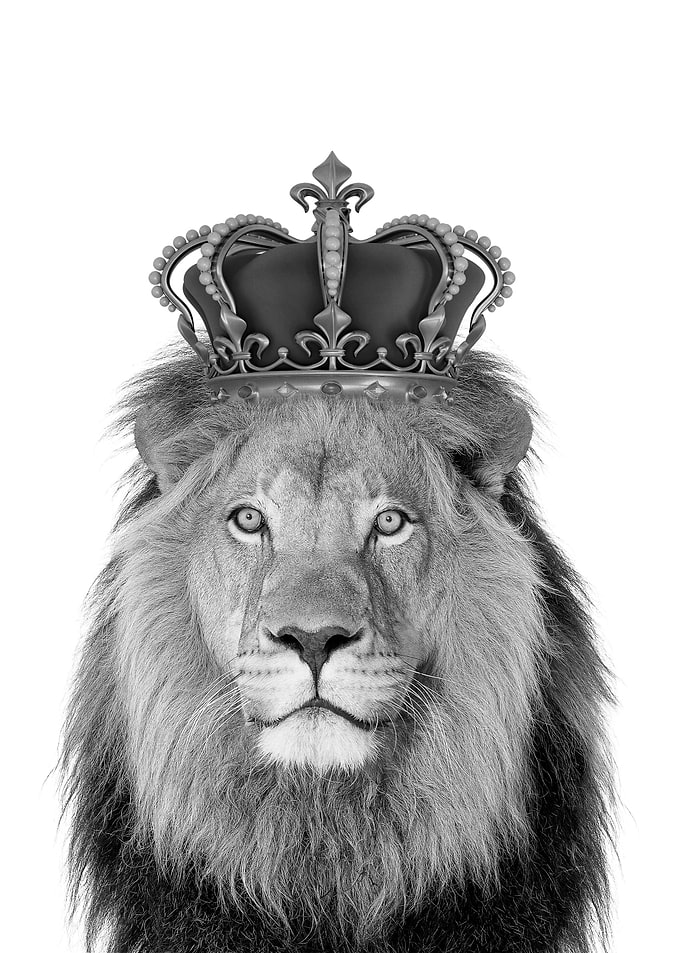 Lion with crown