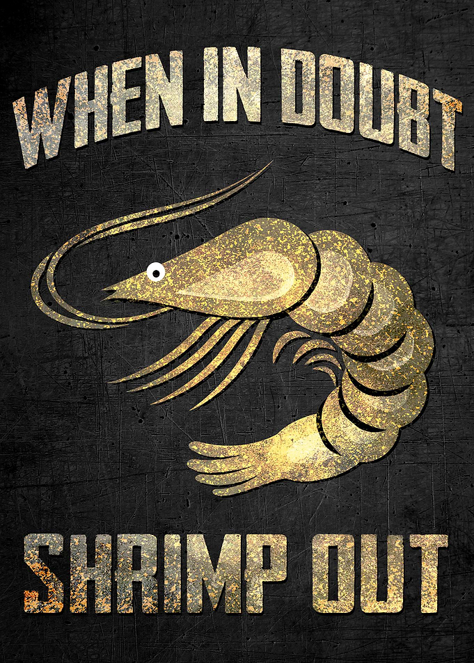 Jiu Jitsy Shrimping Bjj