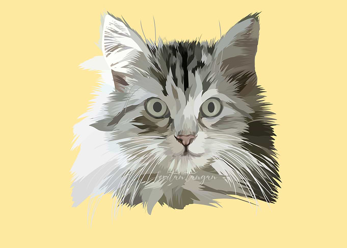 Cat Vector Art