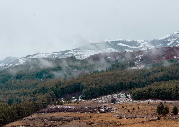 autumn Patagonia 3