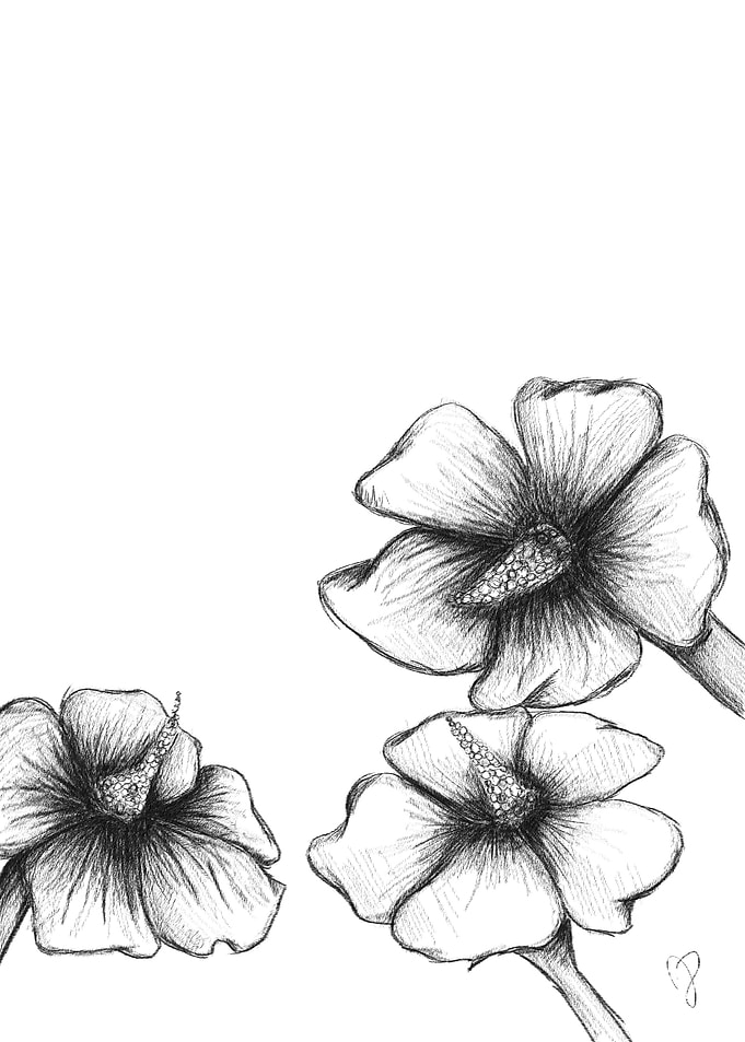 flowers black and white