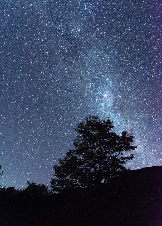 Patagonian stars