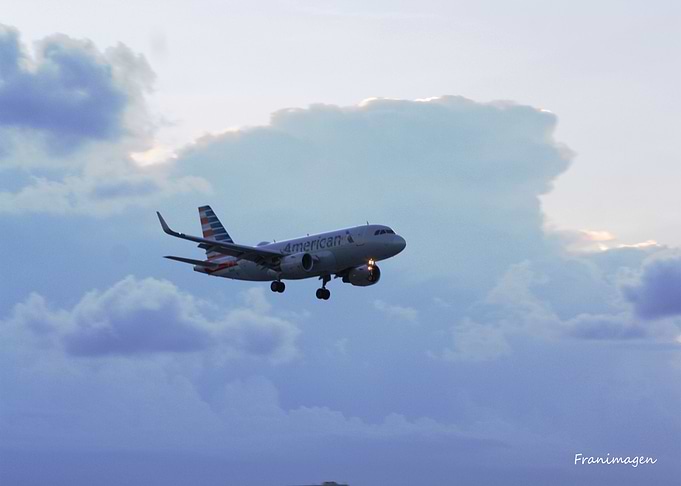 Avion