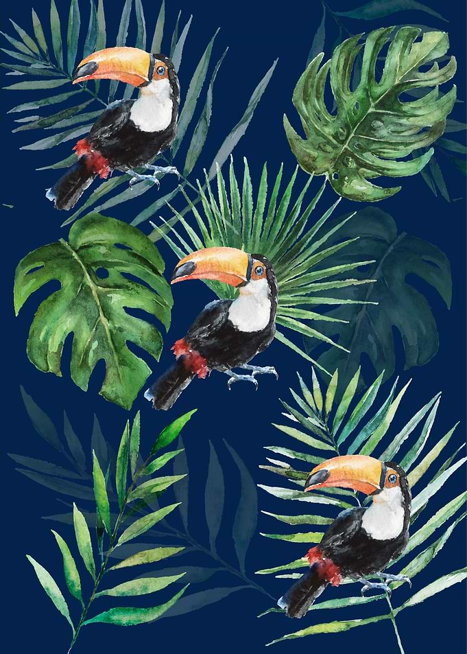 Tropical Toucans