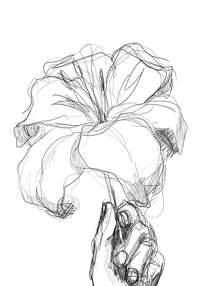Quick Flower Sketch